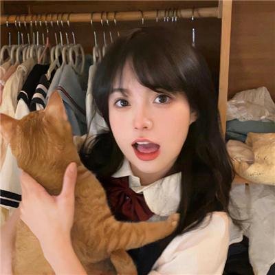 狐狸的故事